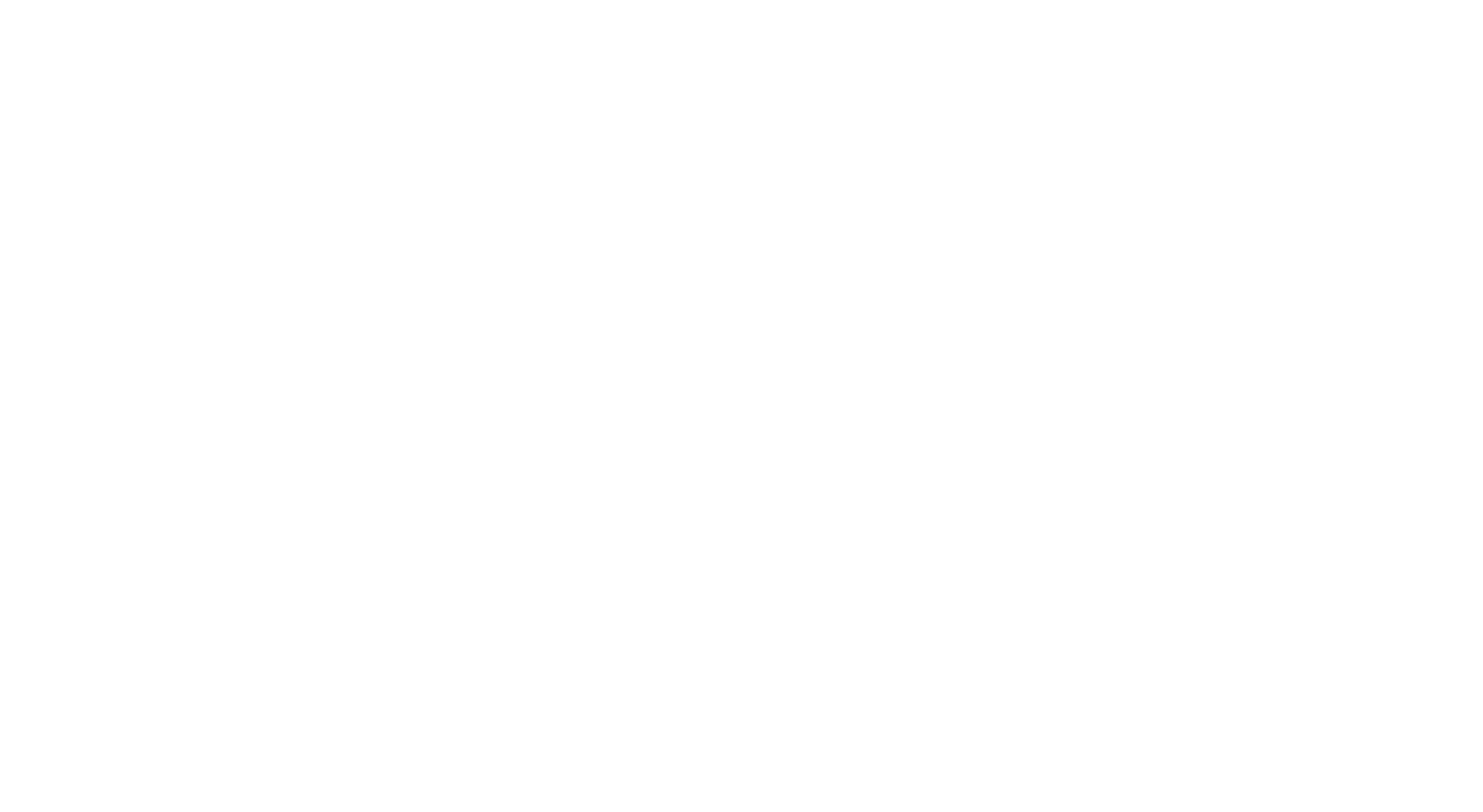 Coco disney 