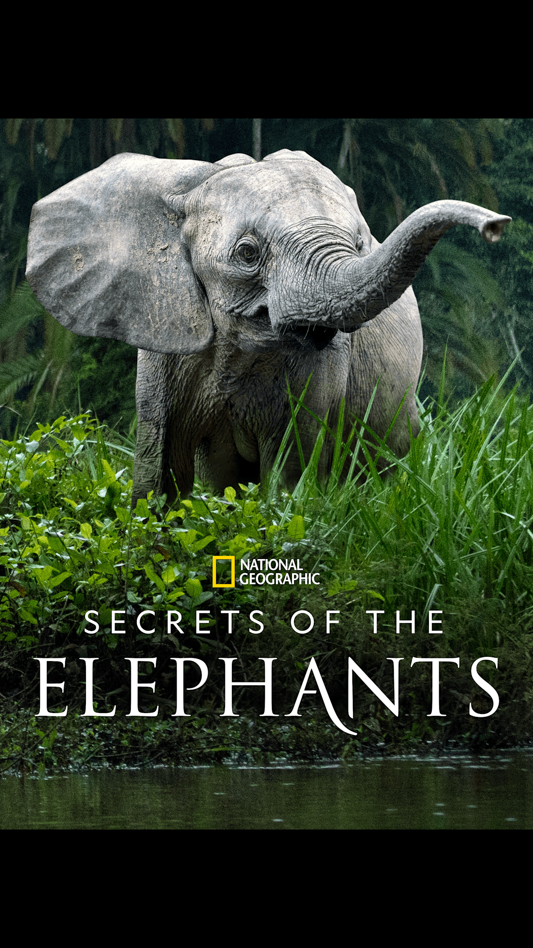 Disney The Greatest Stories All In One Place