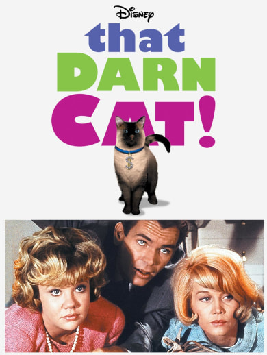 That Darn Cat!