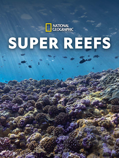Super Reefs