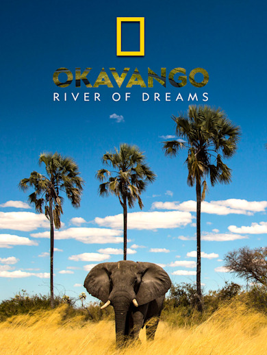 Okavango: River Of Dreams: Divine Journeys