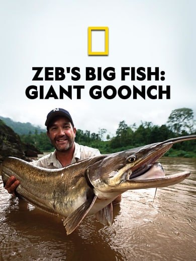 Zeb's Big Fish: Giant Goonch