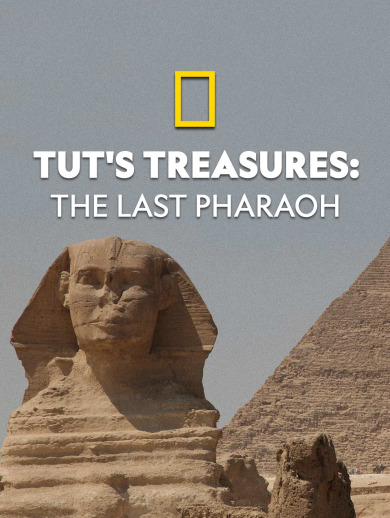 Tut's  Treasures - The Last Pharaoh