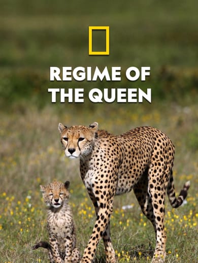 Regime of the Queen