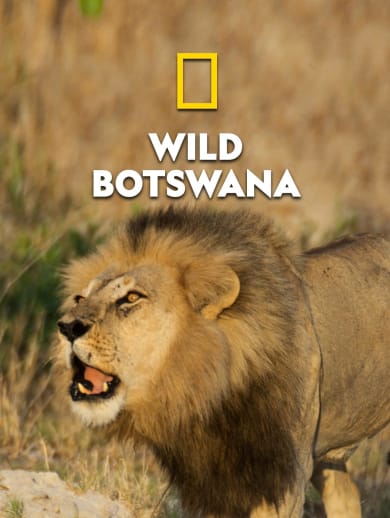 Wild Botswana