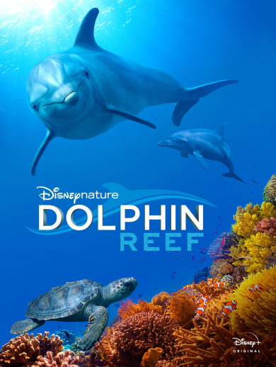 Disneynature: Dolphin Reef