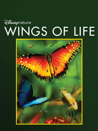 Wings Of Life