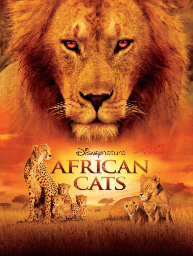 African Cats