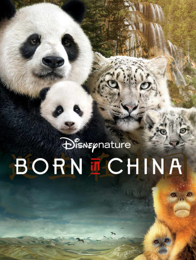 Born In China