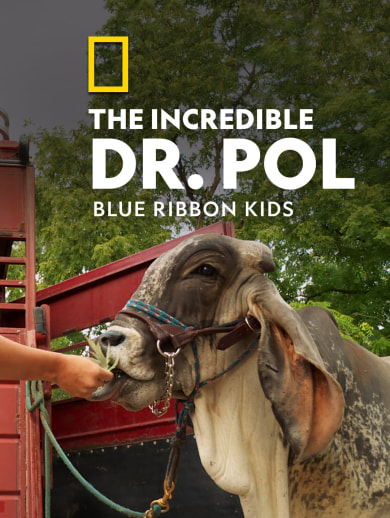 The Incredible Dr. Pol: Blue Ribbon Kids