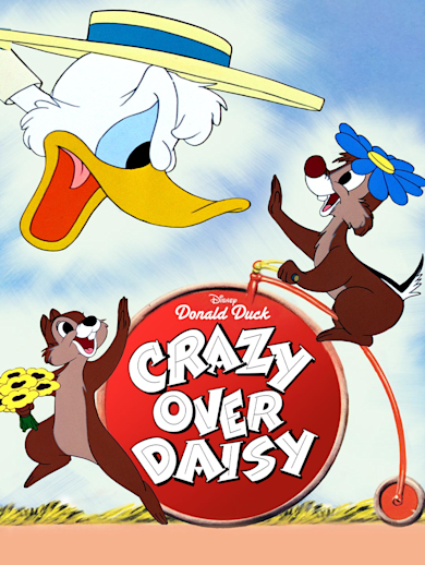 Crazy Over Daisy