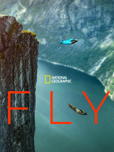 Fly