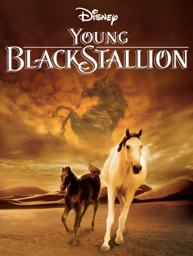 The Young Black Stallion